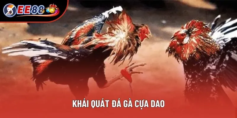 Khái quát đá gà cựa dao