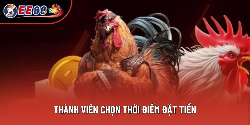Thành viên chọn thời điểm đặt tiền