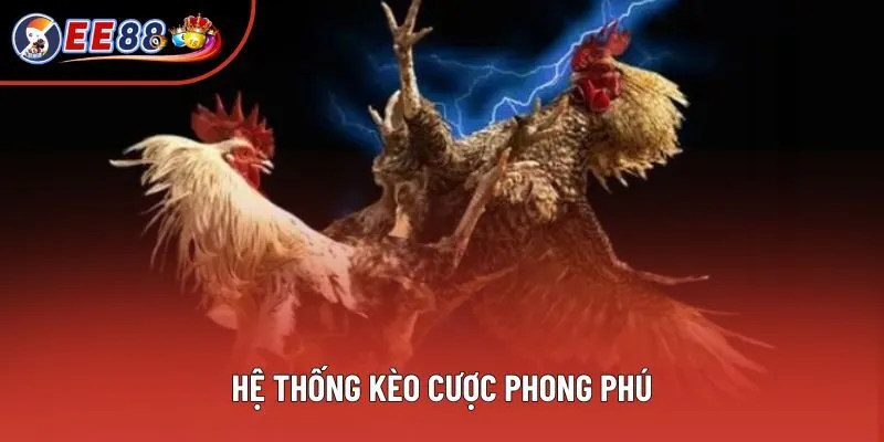 Hệ thống kèo cược phong phú