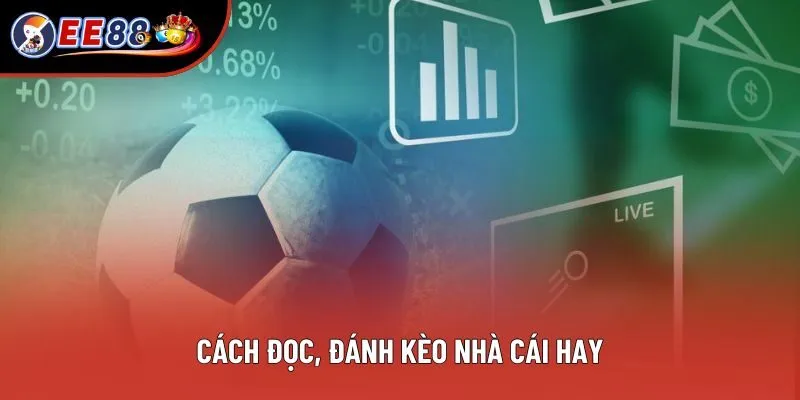 Bí quyết chơi kèo cực đỉnh mà bạn nên biết Bí quyết chơi kèo cực đỉnh mà bạn nên biết