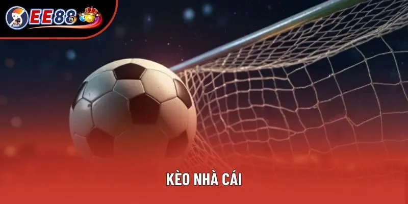 Kèo Nhà Cái - Hướng Dẫn Phân Tích Tỷ Lệ Cực Chuẩn Cho Bạn