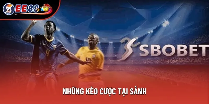 Những kèo cược tại sảnh Những kèo cược tại sảnh